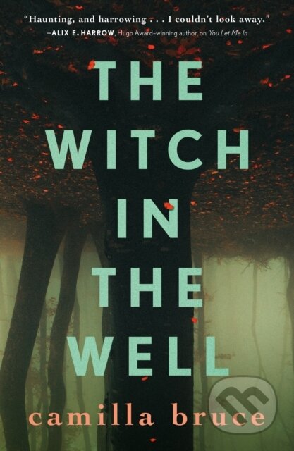 Kniha: The Witch in the Well (Camilla Bruce). Tor Books, 2023