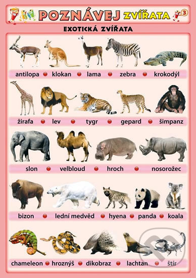 Poznávej zvířata - Exotická zvířata - Petr Kupka - kniha z kategorie 1. stupeň