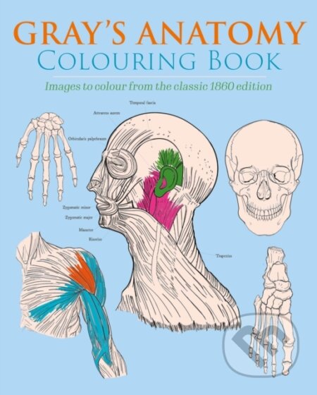 Gray's Anatomy Colouring Book (Images to Colour from the Classic 1860 Edition) - kniha z kategorie Odborné a naučné
