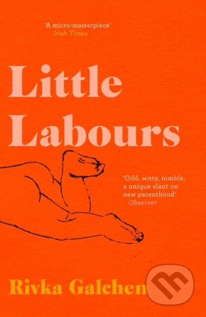 Kniha: Little Labours (Rivka Galchen). Fourth Estate, 2019