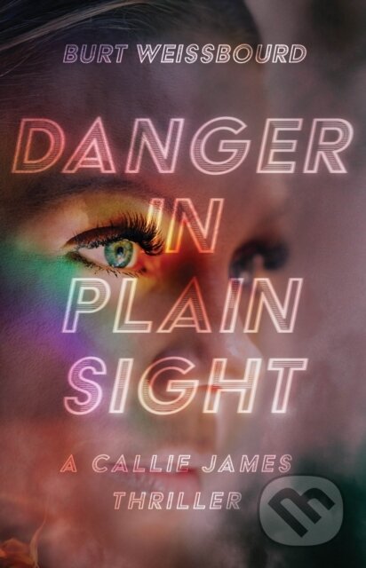Danger in Plain Sight - Burt Weissbourd