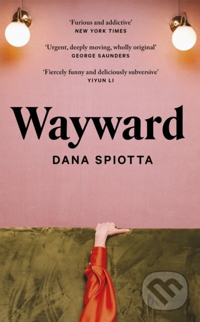 Kniha: Wayward (Dana Spiotta). Virago, 2022