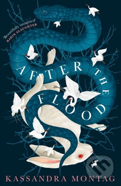 After the Flood - Kassandra Montag - kniha z kategorie Společenská beletrie
