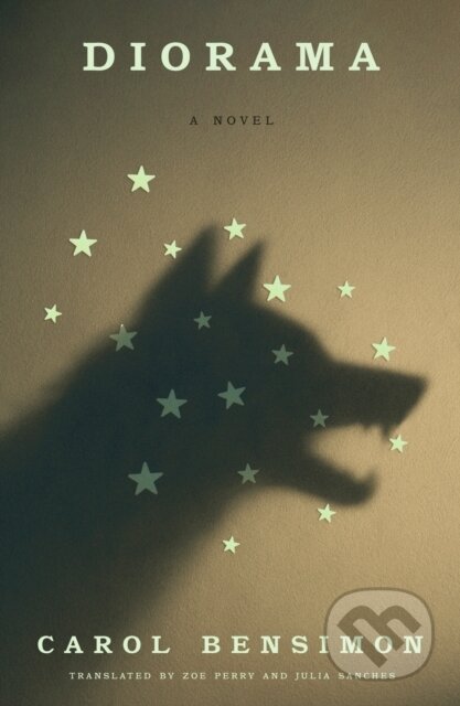 Diorama (A Novel) - Carol Bensimon