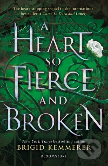 A Heart So Fierce and Broken - Brigid Kemmerer - kniha z kategorie Pro děti