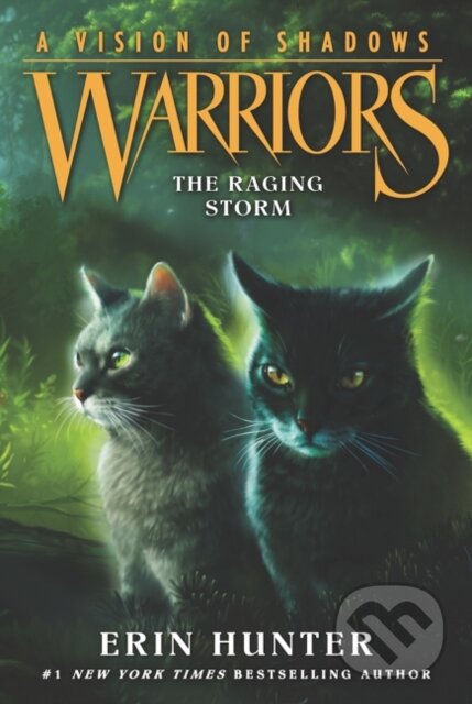 Warriors: A Vision of Shadows #6: The Raging Storm - kniha z kategorie Pro děti