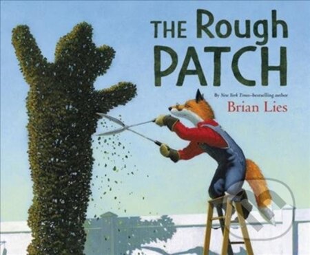 Kniha: The Rough Patch (Lies Brian). Greenwillow Books, 2018