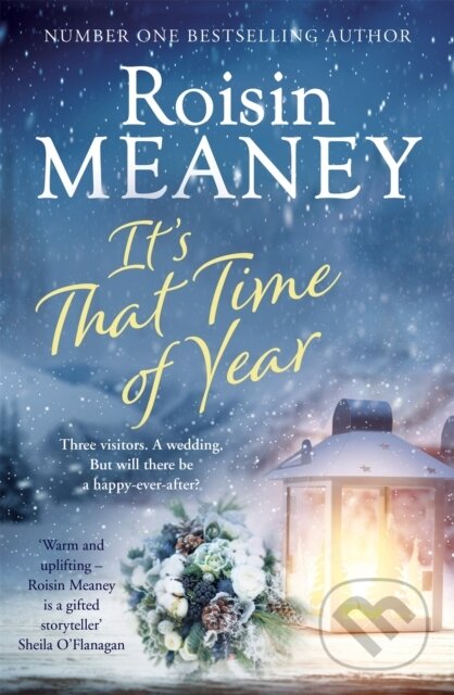 Kniha: It's That Time of Year (Roisin Meaney). , 2020