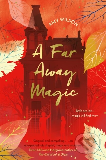 Kniha: A Far Away Magic (Amy Wilson). Pan Macmillan, 2018
