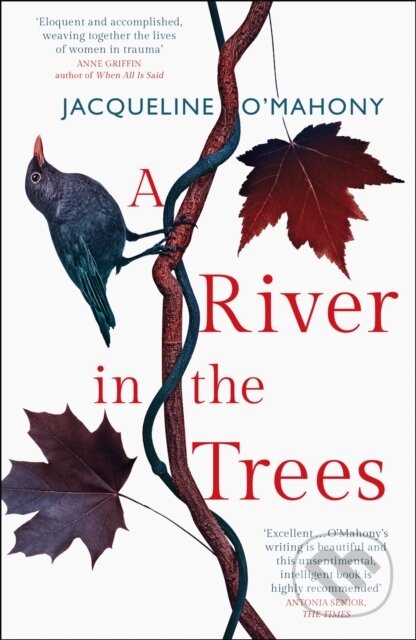 Kniha: A River in the Trees (Jacqueline O'Mahony). Riverrun, 2019