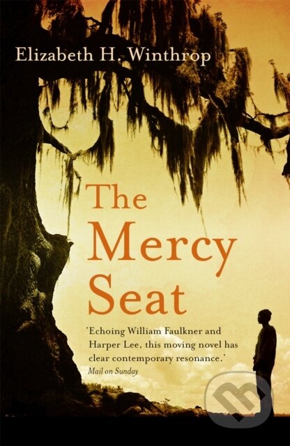 The Mercy Seat - Elizabeth H. Winthrop - kniha z kategorie Společenská beletrie