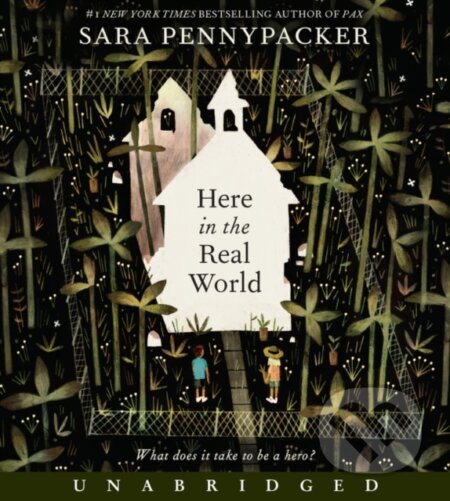Here in the Real World - Sara Pennypacker