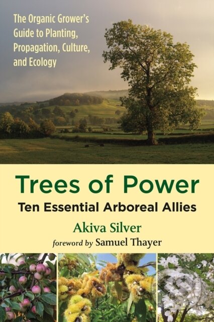 Kniha: Trees of Power (Akiva Silver). , 2019