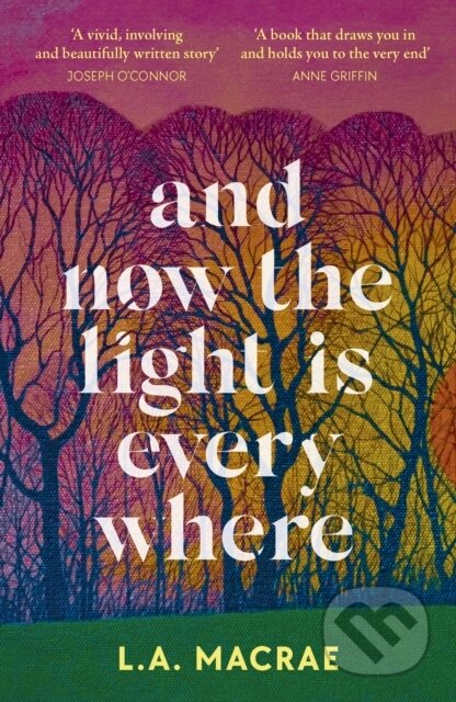 And Now the Light is Everywhere (A stunning debut novel of family secrets and redemption)