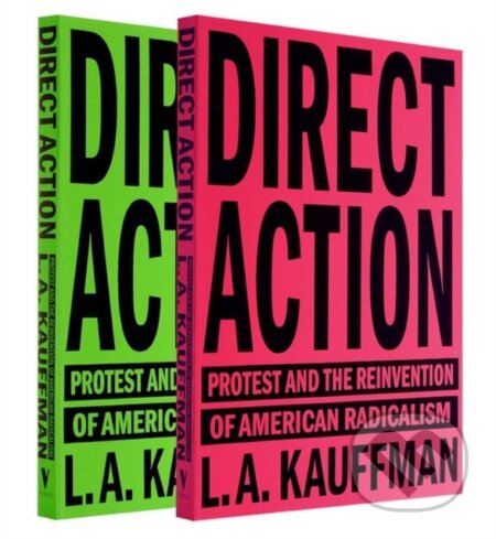 Kniha: Direct Action (L.A. Kauffman). Verso, 2017