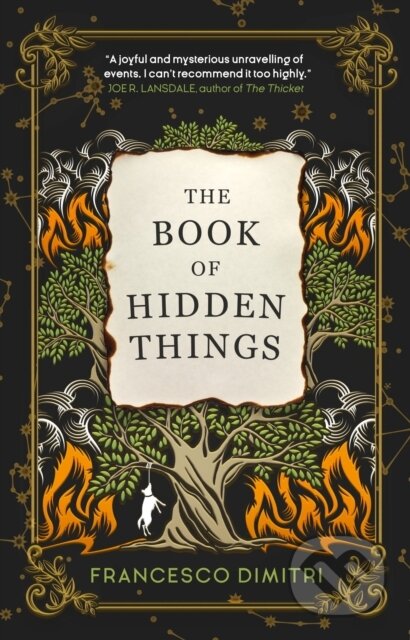 The Book of Hidden Things - Francesco Dimitri - kniha z kategorie Thrillery