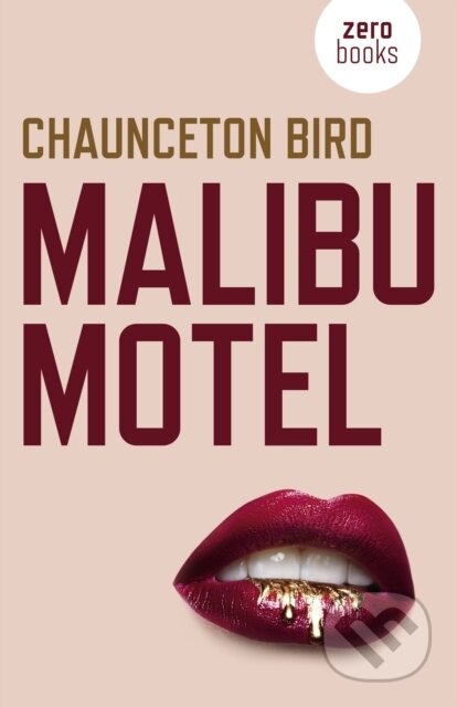 Malibu Motel (A novel about the colossal cost of free cash) - kniha z kategorie Thrillery