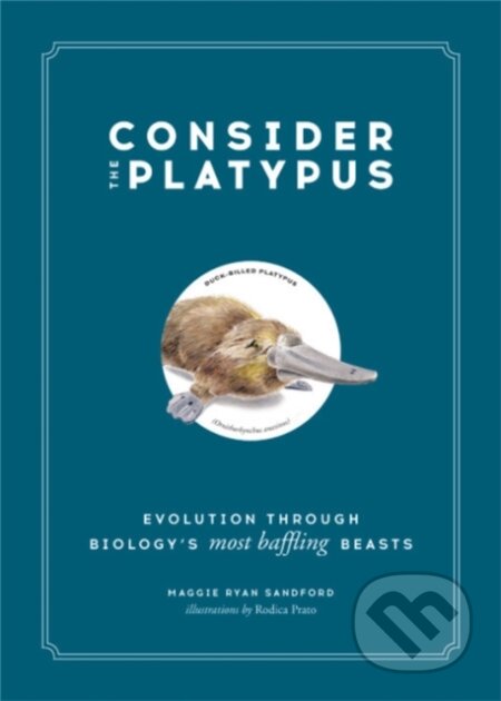 Kniha: Consider the Platypus (Maggie Ryan Sandford). Black Dog, 2019