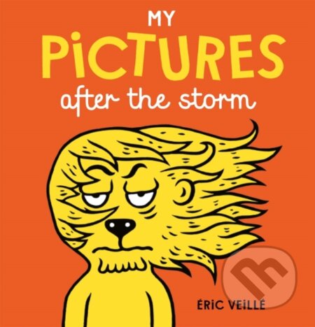 Kniha: My Pictures After the Storm (Eric Veille). Gecko, 2017