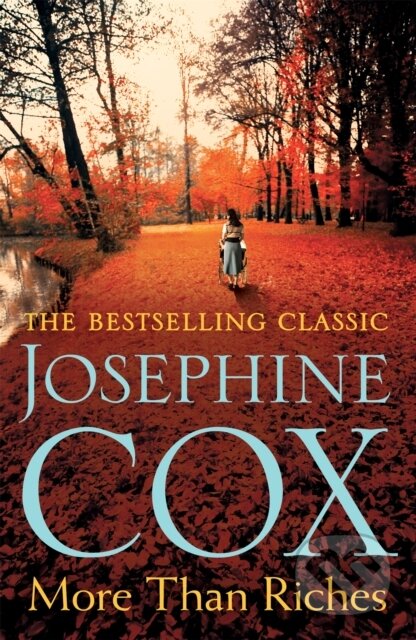 More than Riches (Love, longing and rash decisions) - kniha z kategorie Společenská beletrie