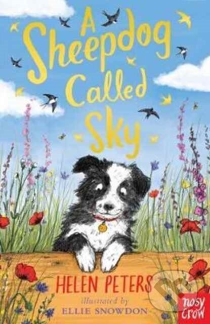 A Sheepdog Called Sky - Helen Peters - kniha z kategorie Pro děti