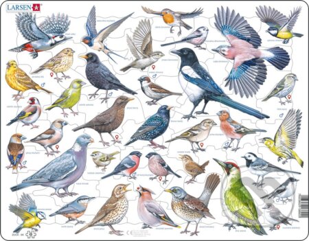 Vtáky v záhrade (ZOO4-SK) - puzzle z kategorie Naučné puzzle
