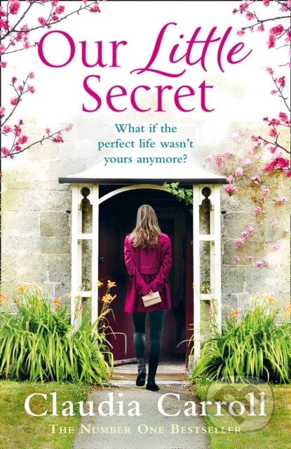 Our Little Secret - Claudia Carroll