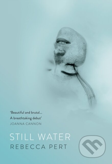 Still Water - Rebecca Pert - kniha z kategorie Společenská beletrie