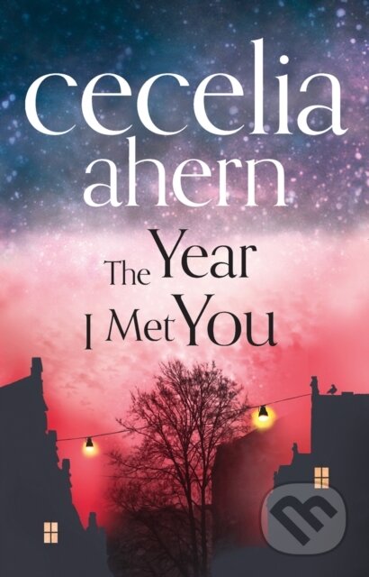 The Year I Met You - Cecelia Ahern - kniha z kategorie Společenská beletrie