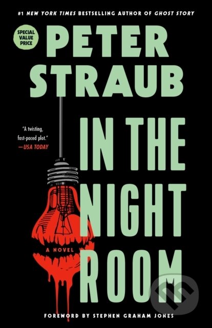 In the Night Room (A Novel) - Peter Straub