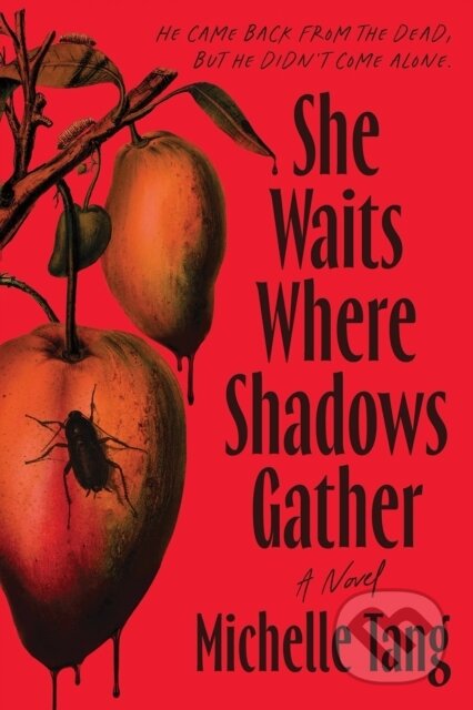 Kniha: She Waits Where Shadows Gather (Michelle Tang). Sourcebooks, 2026