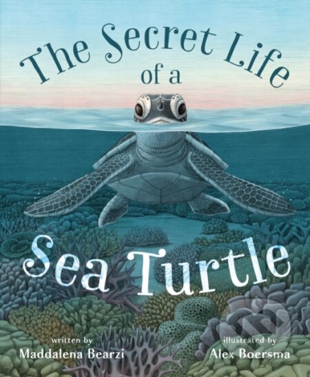 Kniha: Secret Life of a Sea Turtle (Maddalena Bearzi). Roaring Brook, 2025