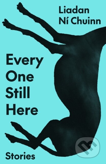 Kniha: Every One Still Here (Liadan Ni Chuinn). FSG Originals, 2026