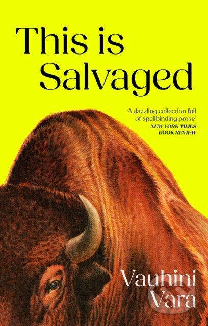 Kniha: This is Salvaged (Vauhini Vara). Grove Press, 2024