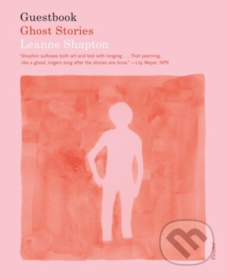 Kniha: Guestbook (Leanne Shapton). Picador, 2024