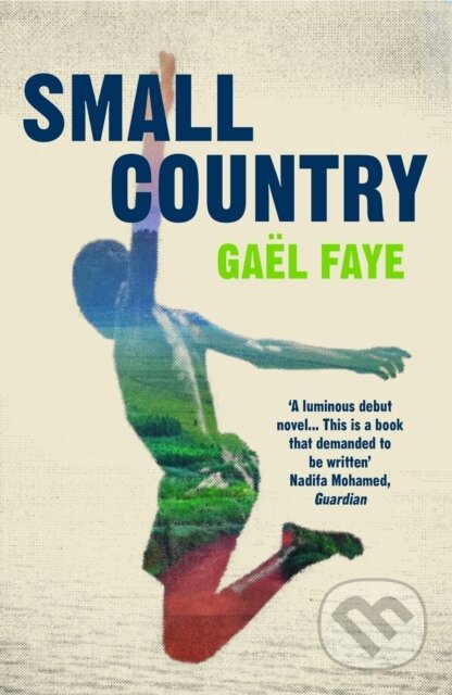 Kniha: Small Country (Gael Faye). Vintage, 2019