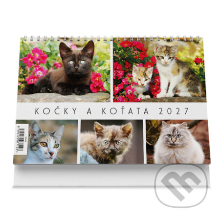 Kočky a koťata 2027 - stolní kalendář (VIKPAP). VIKPAP, 2026