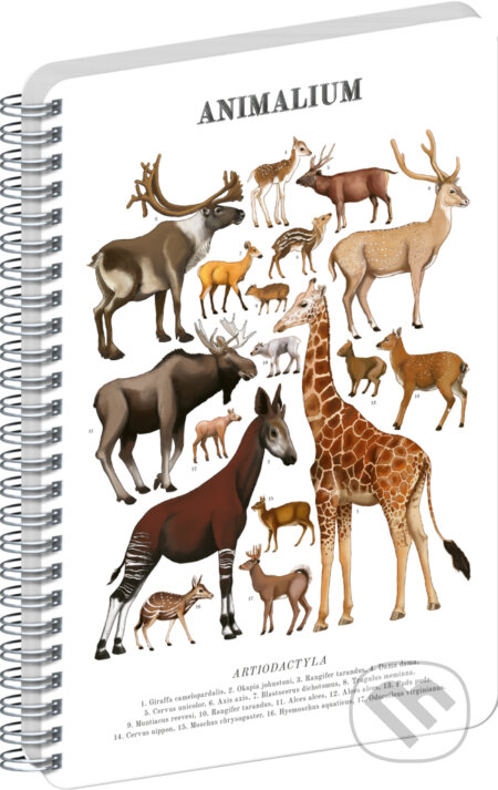 NOTIQUE Špirálový blok Animalium – Párnokopytníky (Notique). Notique, 2026