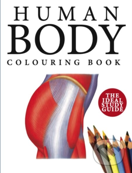 Kniha: Human Body Colouring Book (Peter Abrahams). Amber-Allen Publishing, 2023