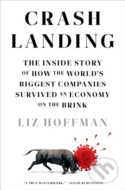 Kniha: Crash Landing (Liz Hoffman). , 1900