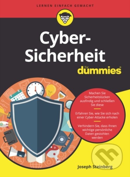 Kniha: Cyber-Sicherheit fur Dummies (Joseph Steinberg). Blackwell Publishers, 2020