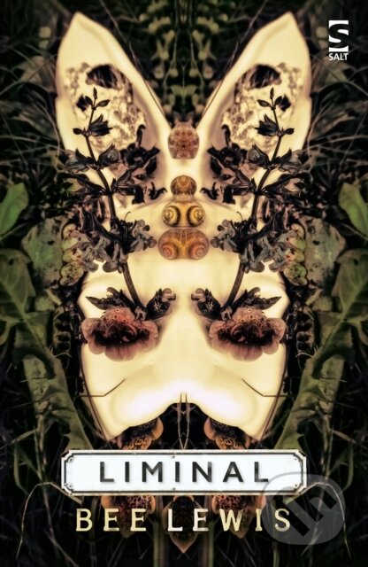 Kniha: Liminal (Bee Lewis). , 2018
