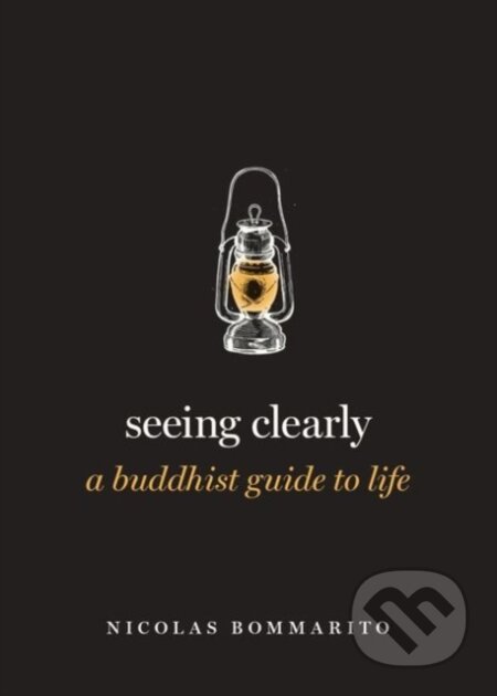 Kniha: Seeing Clearly (Nicolas Bommarito). Oxford University Press, 2020