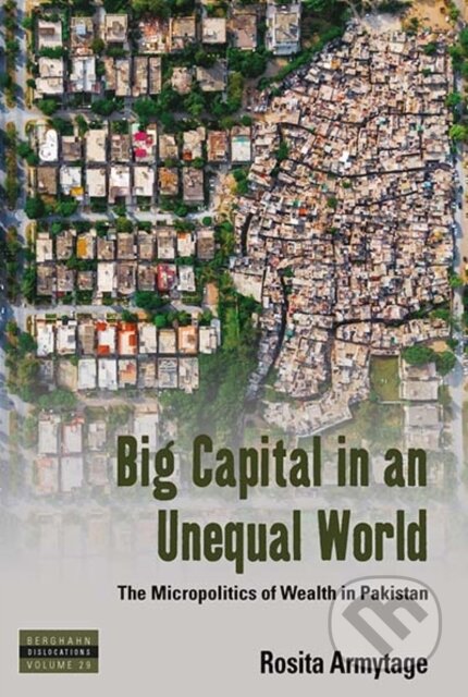 Kniha: Big Capital in an Unequal World (Rosita Armytage). Berghahn Books, 2020