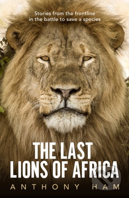 Kniha: The Last Lions of Africa (Anthony Ham). Allen and Unwin, 2020