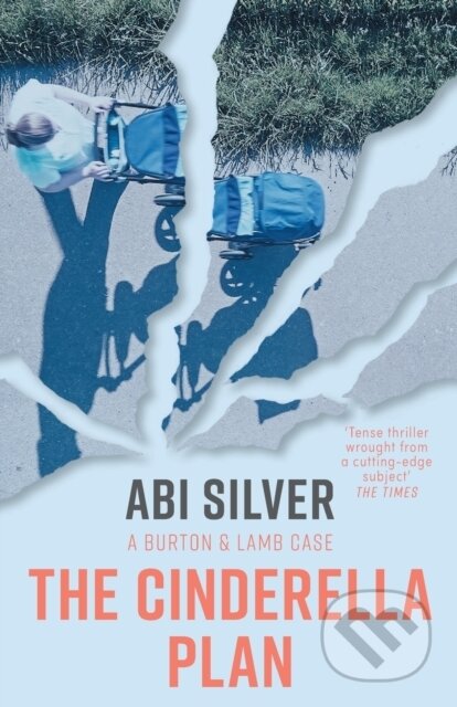 Kniha: The Cinderella Plan (Abi Silver). The Lightning, 2021