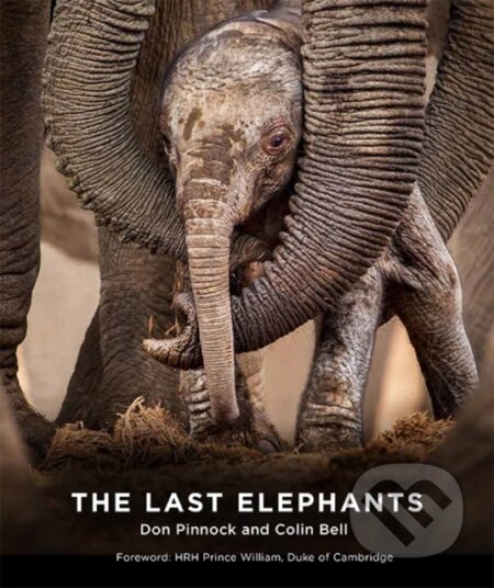 Kniha: The Last Elephants (Colin Bell a Don Pinnock). Hardie Grant, 2019