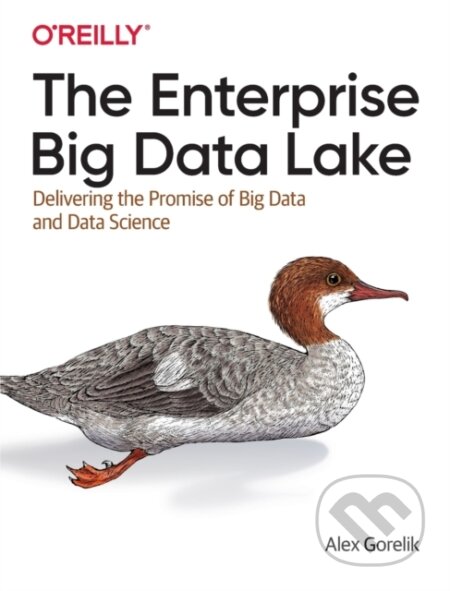 Kniha: The Enterprise Big Data Lake (Alex Gorelik). O'Reilly Media, 2019
