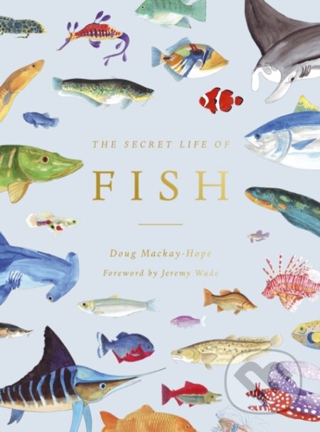 Kniha: The Secret Life of Fish (Doug Mackay-Hope). Ivy Press, 2021