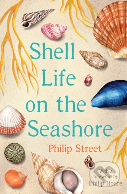 Kniha: Shell Life on the Seashore (Philip Street). Faber and Faber, 2019